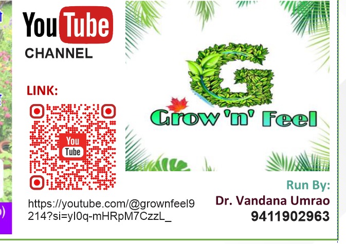 bagwaani's tweet photo. #terrace #gardening #organic #homegarden #medicinalplants #creativity https://t.co/Hkm1ScO0ze