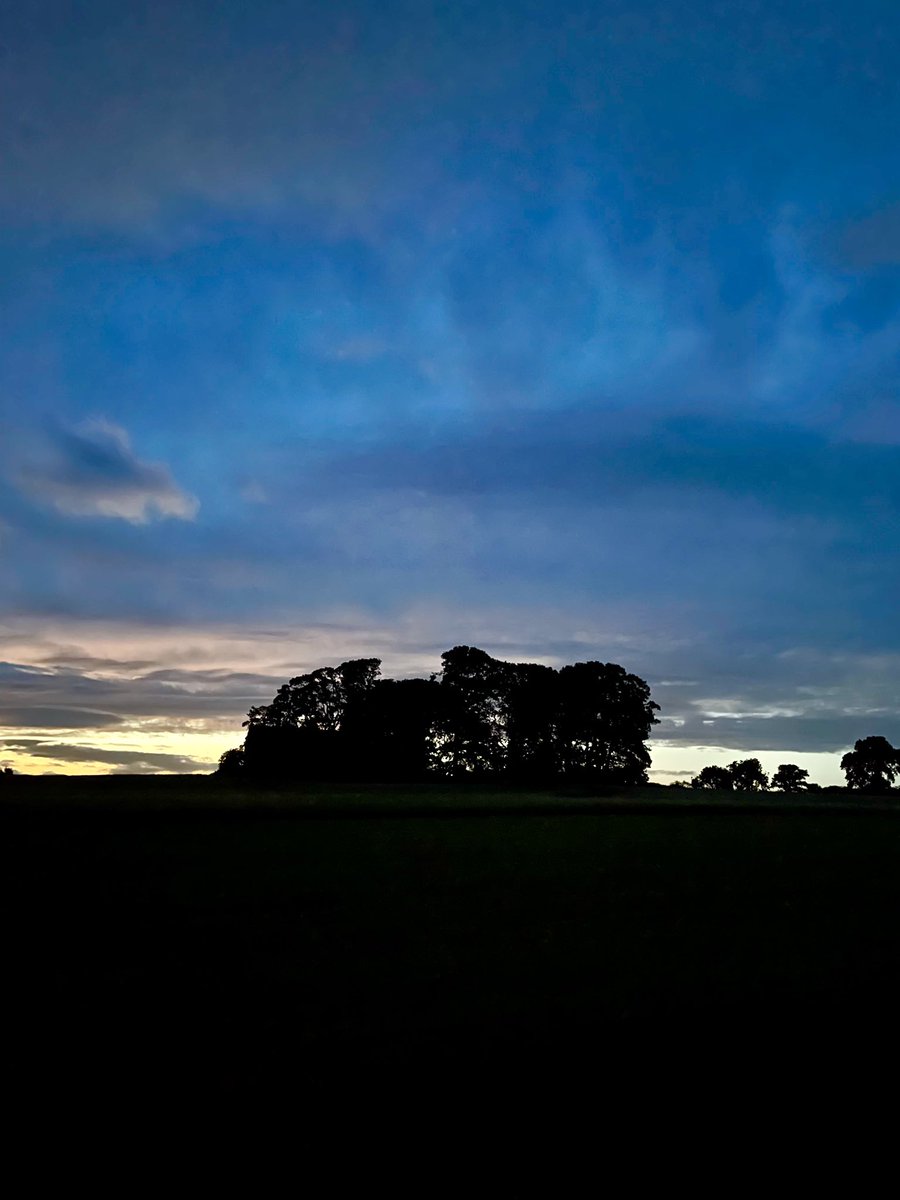 wendyfinnandmax's tweet photo. I’ll keep posting until the spring equinox. If you have recent photos of twilight hours, at dawn or dusk that I can post with a credit I’d be grateful if you’d send them. Photo Heavenfield in twilight @CampfireGuy https://t.co/f19DoLoG6Y #lightupdate #measuringdaylight https://t.co/7cHELhSodS