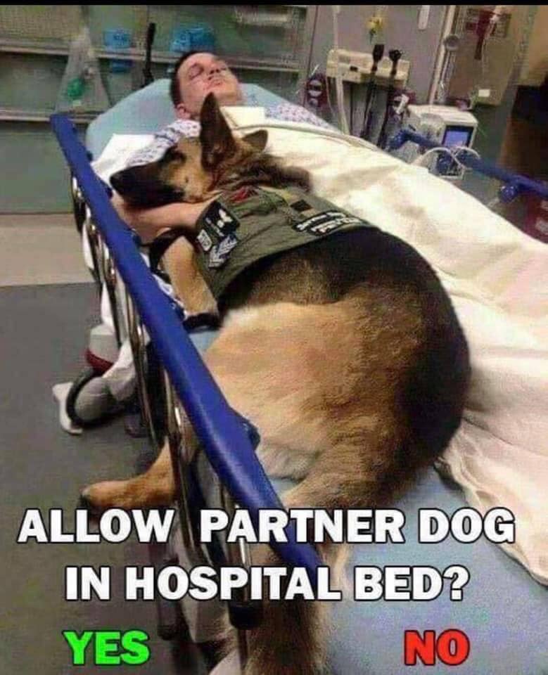 Dalbodog's tweet photo. YES / NO https://t.co/OjBXi5RoJc