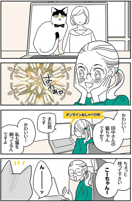 【2話】猫の生き方「私を見て!」(1/2)