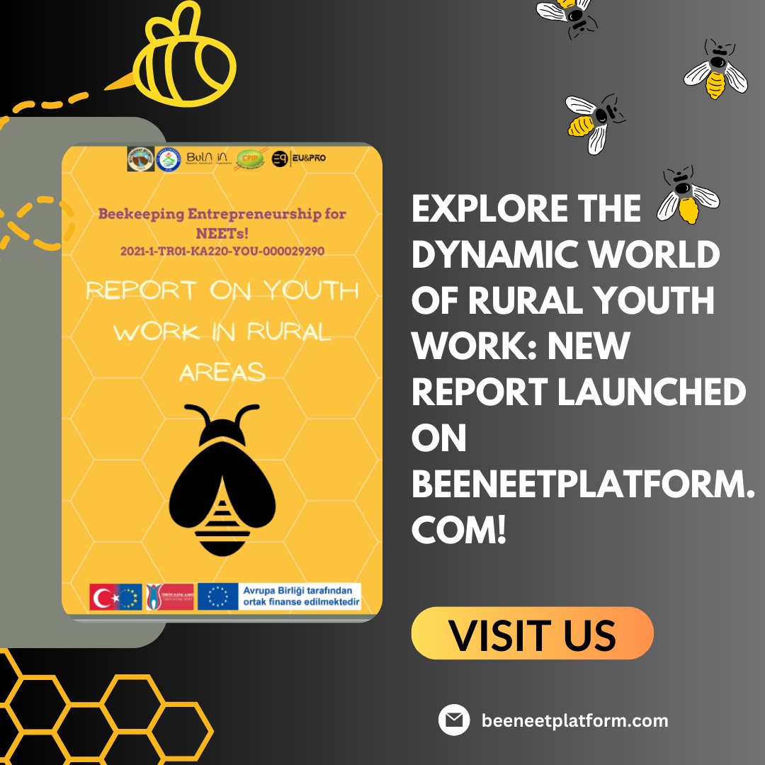 🐝 Introducing the project "Beekeeping Entrepreneurship for NEETs!" funded by the European Union under project number "2021-1-TR01-KA220-YOU-000029290."  #beekeeper #beeNEET