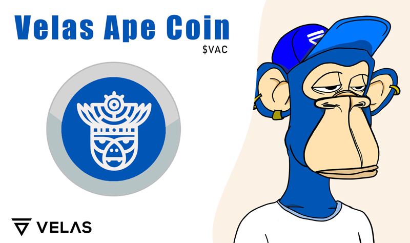 VelasApeClub's tweet photo. We are happy to announce the soon launch of the pre-sale of the Velas Ape Coin 🙈
Let's create the #VAYC eco system together on @VelasBlockchain !
#meme #velas #vlx #token #launch #wallet #nft https://t.co/A0x1P8xXzC