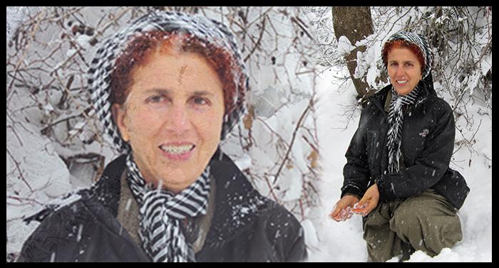 Moi, Sakine Cansiz ~Sara, j'avais 54 ans. Le combat pour la liberté de mon peuple était toute ma vie. J'ai résisté à toutes sortes de tortures dans le geôles turques. Après 35 ans de lutte, j'ai été assassinée à Paris le 9 janvier 2013