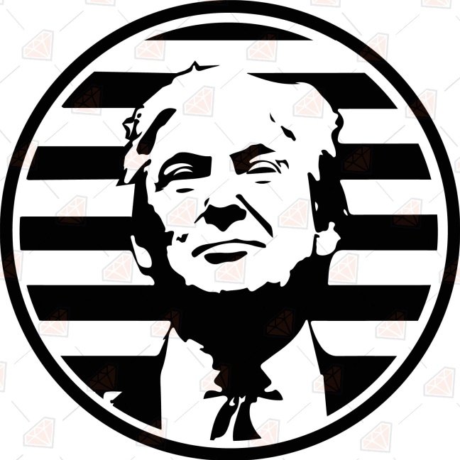 TrumpDocument's tweet photo. New Profile Pic
🍊♂️2024 https://t.co/VY7QZoLmEA