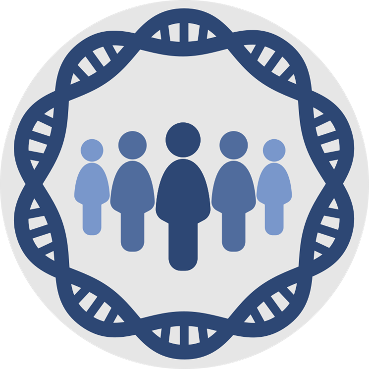 CSVS_es's tweet photo. Starting the year with papers citing the Repository of genetic variability of the Spanish population #CSVS https://t.co/CxuiIeWoDI @FProgresoysalud @ibis_sevilla @CIBERER @INB_Official https://t.co/dQorDFeop3