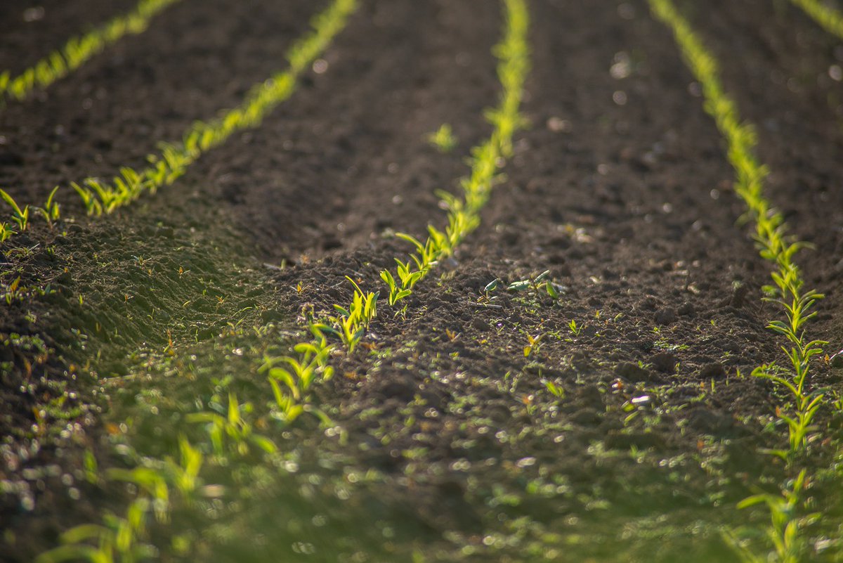 NFU wants more farmers to become school ambassadors. The NFU is encouraging more farmers to become industry ambassadors as part of its Farmers for Schools programme, which was launched in 2022. Read more here : zurl.co/vVS7