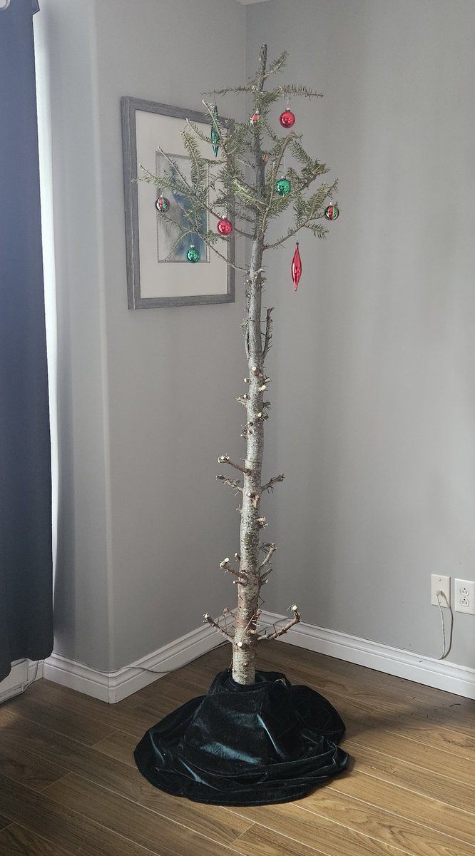 Blossom_X_Chrl's tweet photo. @975krock @Candice_udle My real tree had to start coming down, it was getting too dry so I did this. This much is still up until the 6th. https://t.co/cakZ7ap6o5