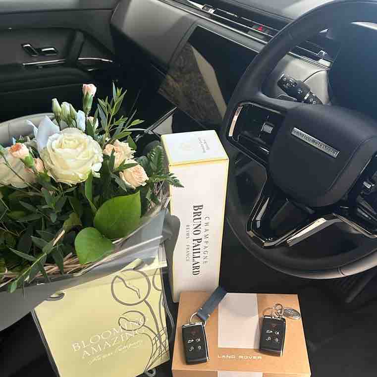 Spirit Land Rover tweet media