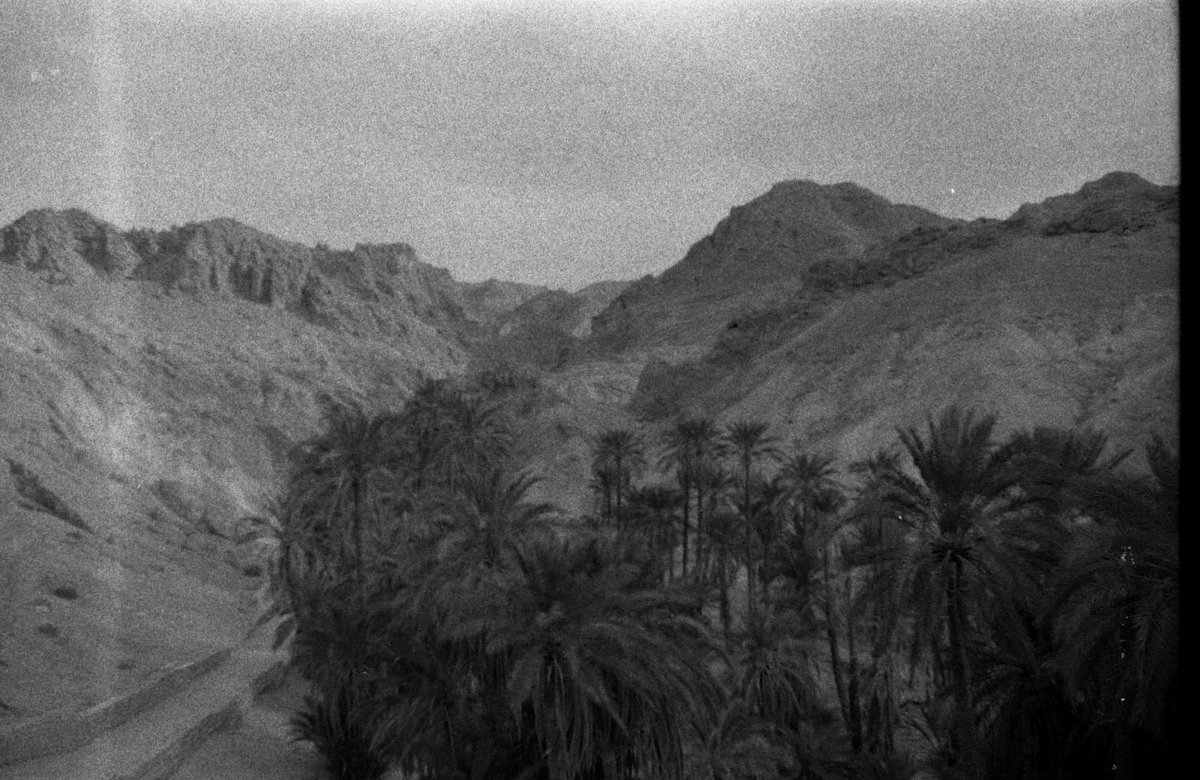 Oasis 
#desert #tunisia #oasis #tunisiandesert #filmphotography #35mmfilm #streetphotography #nature  #naturephotography #analogphotography #pentaxk1000 #35mm #ilfordphoto #ilfordfilm #ilfordpan400 #expiredfilm #beliveinfilm #blackandwhitephotography #blackandwhitephoto #bnw