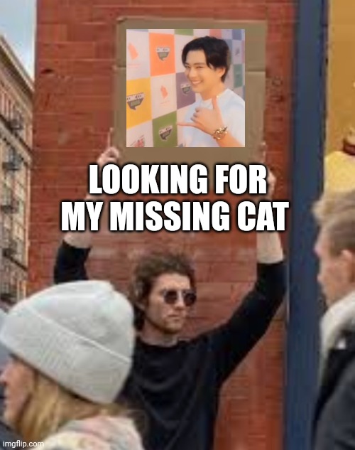 I lost my cat

#新田真剣佑 #Mackenyu