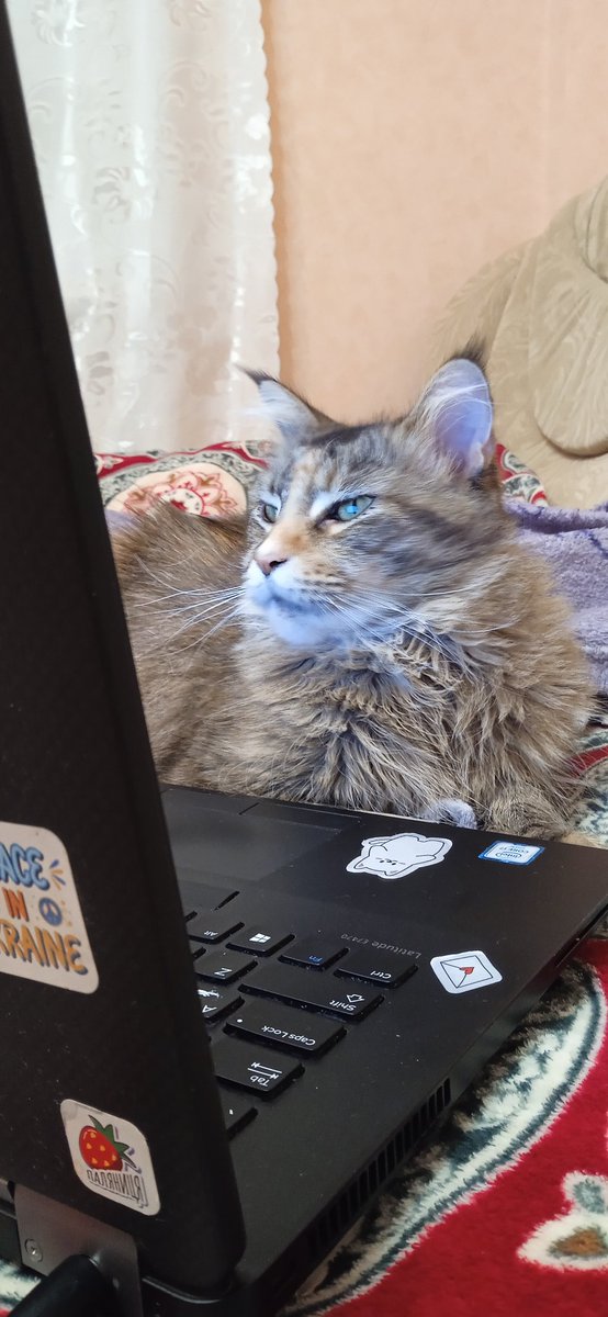 Працює замість мене 😌