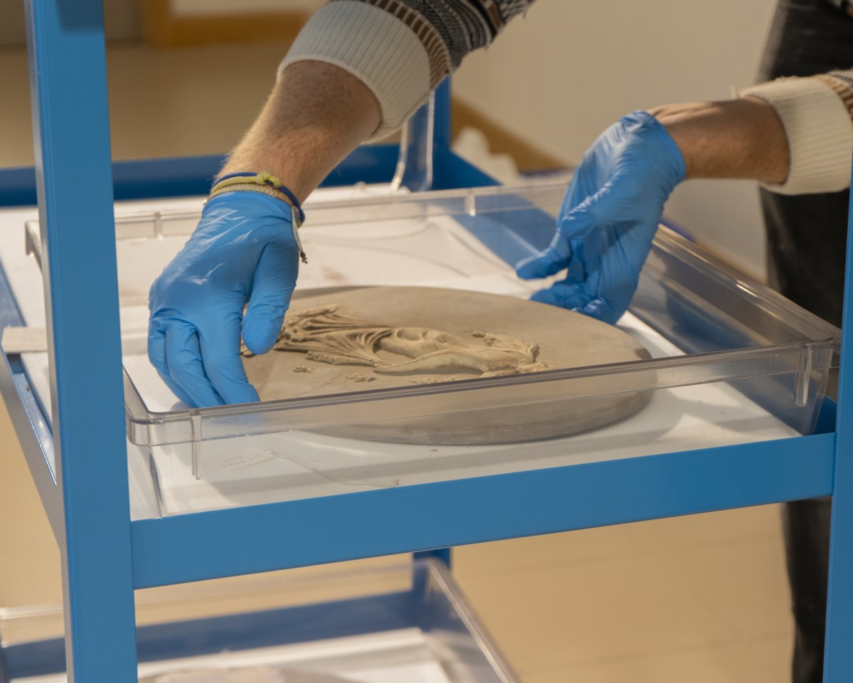 Our third Discover Wedgwood event on the 26 January will provide another exclusive opportunity to view unpacked objects from the V&amp;A Wedgwood Collection store. This session will highlight the iconic ‘Wedgwood Blue’ palette. Book now: brnw.ch/21wFLXw