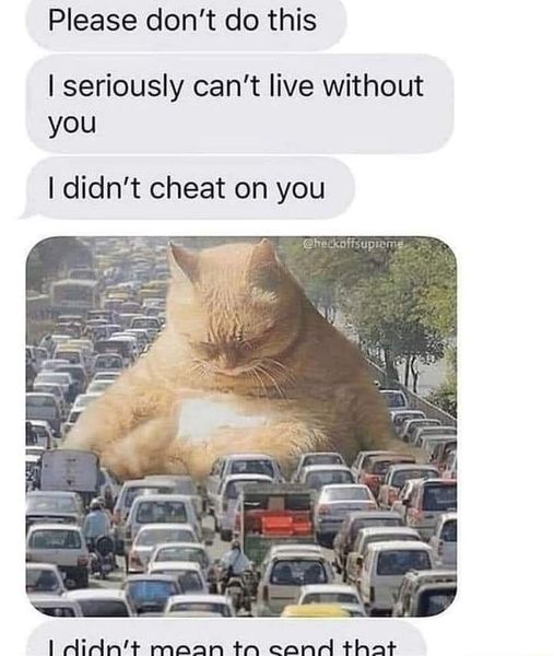 Orwell & Goode (@orwellngoode) on Twitter photo 