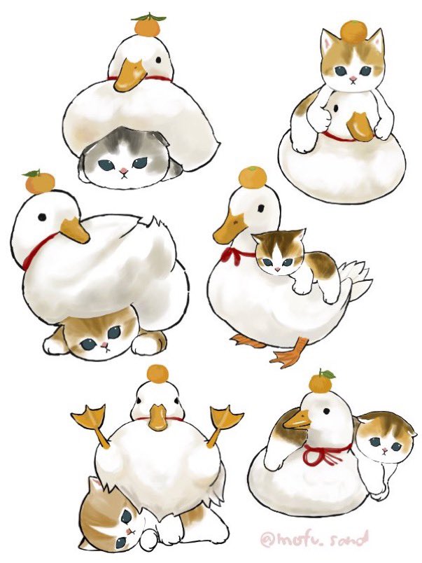 もちもっちもち🍊餅