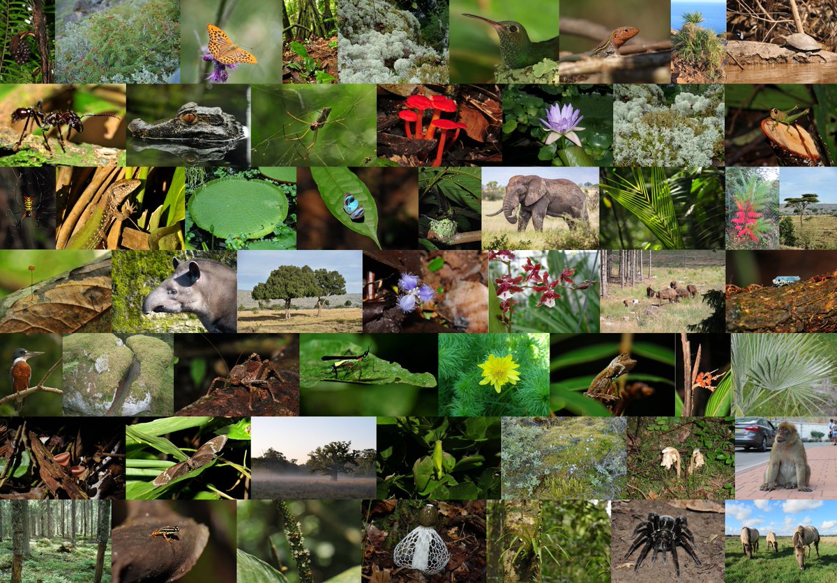 BIOCHANGE tweet media