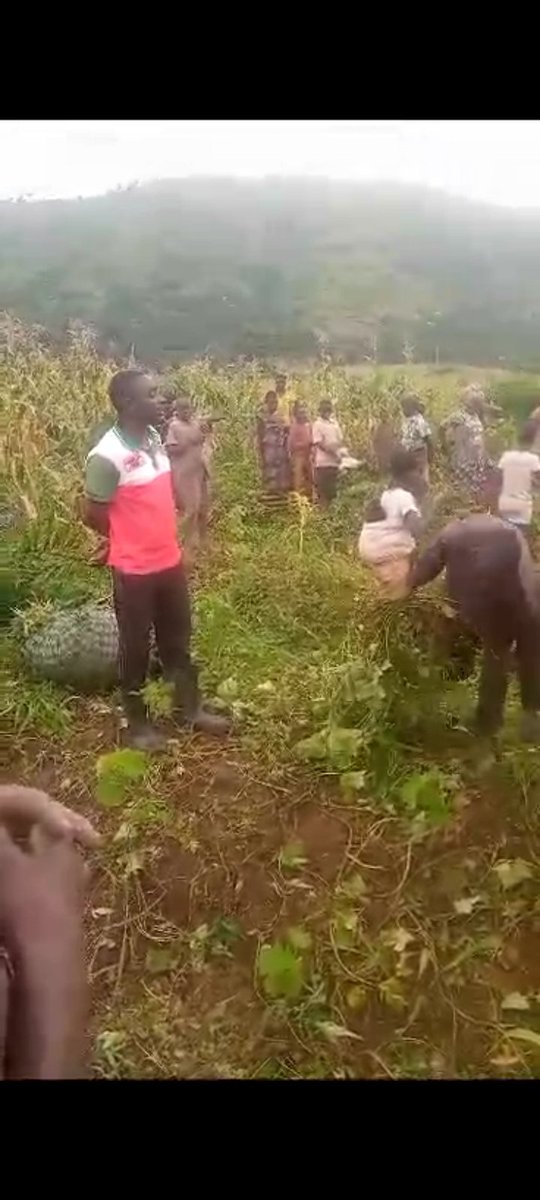 cndd_fddnyanza's tweet photo. #Burundi le3/1/2024 icegera c'umunyamabanga muri Zone #Mukungu @CnddFdd yatanze imivyuka ya kijambere k'umutumba #Rimbo
Kucivugo umunwa wose uronke ico ufungura yaboneyeho nakaryo ko kubibutsa urubanza dufise kuruyu wa gatandatu @CNDDFDDBurunga
@DorianeMunezero @R_Ndikuriyo https://t.co/6SoYirjw8t
