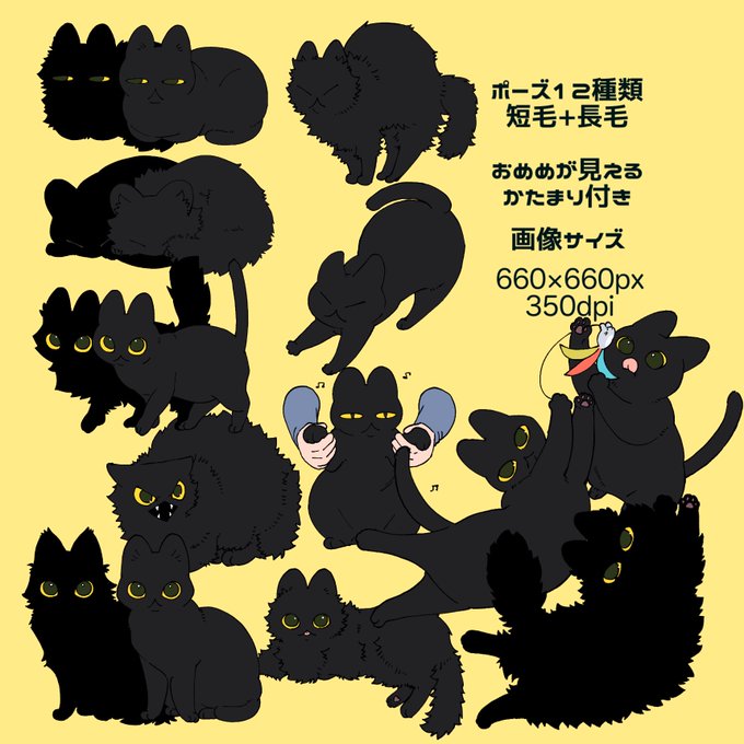 「黒猫 黄色眼」のTwitter画像/イラスト(新着)｜3ページ目