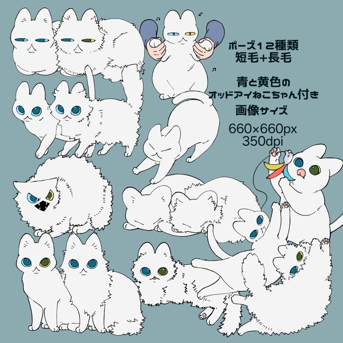 「white cat yellow eyes」 illustration images(Latest)