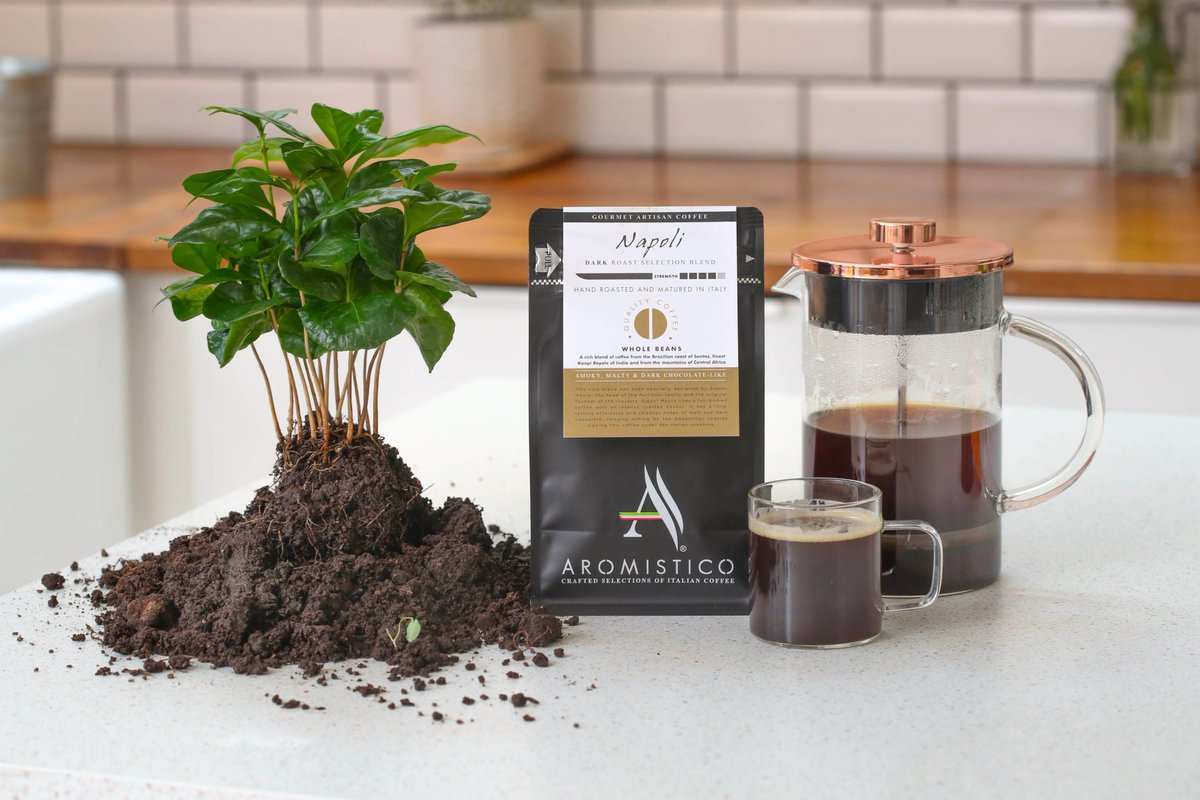 Aromistico Coffee (@aromistico) on Twitter photo Happy 2024! In the final quarter of last year <a href="/Aromistico/">Aromistico Coffee</a> planted a further 88 coffee trees, just like this one!
That brings the grand total for our reforestation project to 1716 trees planted. Find out more about our amazing coffee, on our website; aromistico.coffee Happy 2024! In the final quarter of last year <a href="/Aromistico/">Aromistico Coffee</a> planted a further 88 coffee trees, just like this one!
That brings the grand total for our reforestation project to 1716 trees planted. Find out more about our amazing coffee, on our website; aromistico.coffee