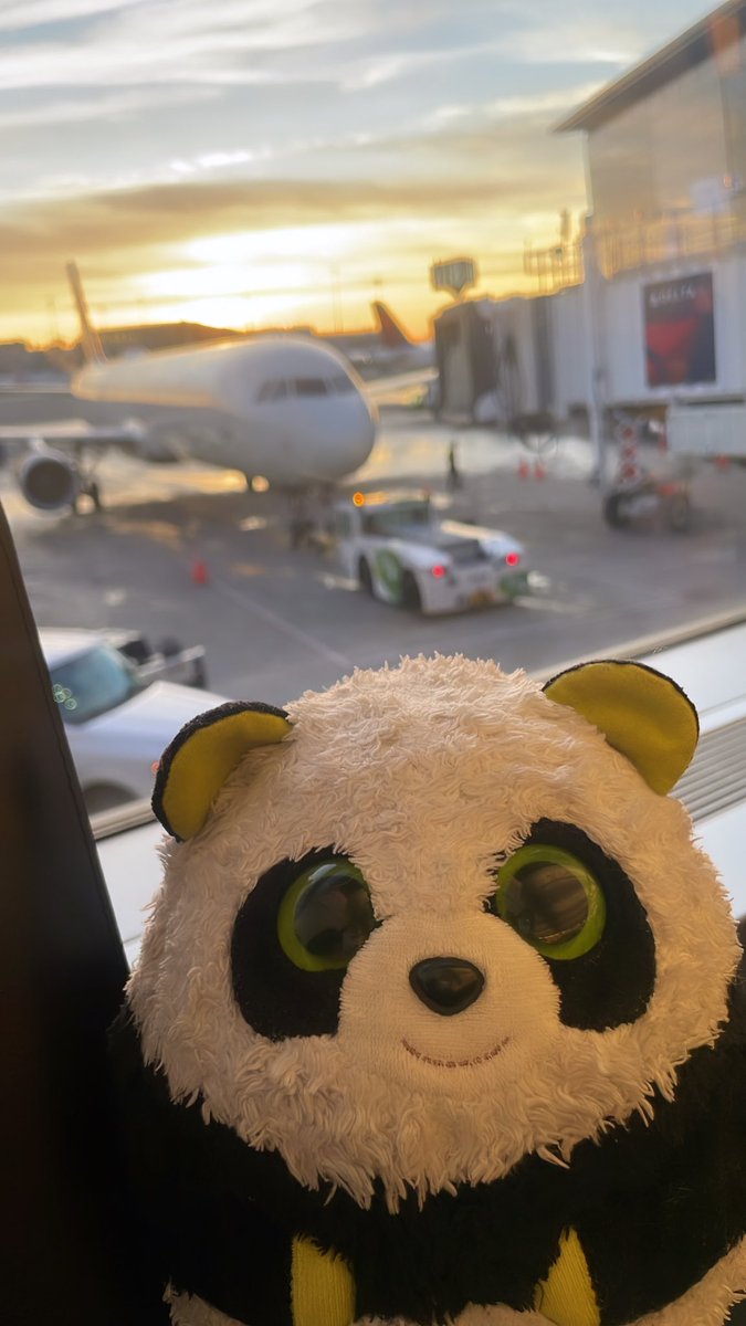 MrPandaJPanda's tweet photo. First travel day of the new year! 
Let’s go @Delta ✈️ 🐼 🎒 
#SkyMilesLife #Delta #Travel #Panda #VIP #VeryImportantPanda https://t.co/I3Q61Fmt4E