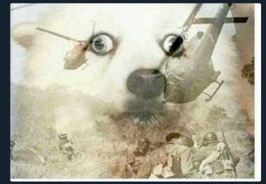 Resistencia Nacional tweet media