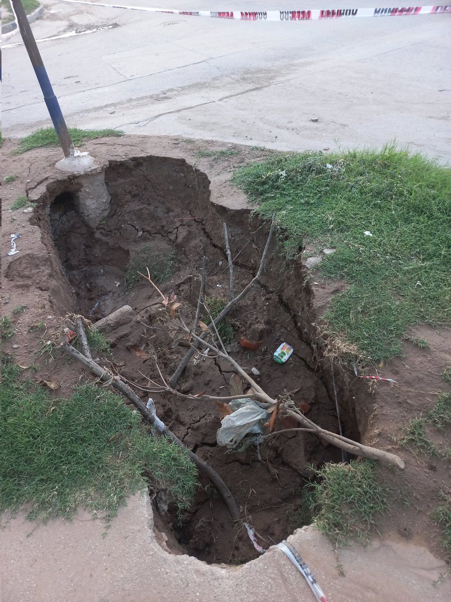 Colorada Amarga tweet media