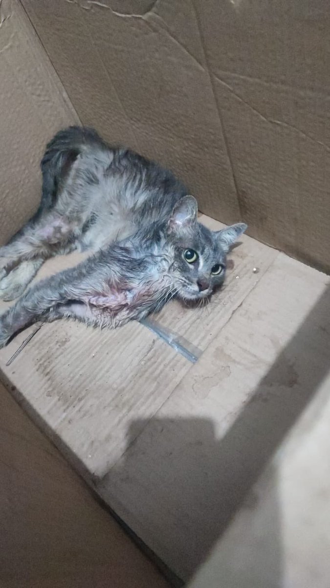 𝑀 𝑜 𝑛 𝑦 🪷 tweet media