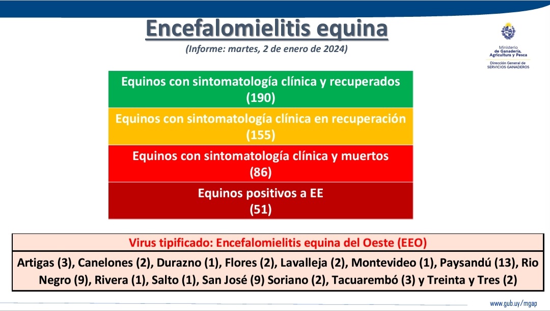 🔴 Encefalomielitis equina: última actualización de datos del <a href="/MGAPUruguay/">MGAP</a>.