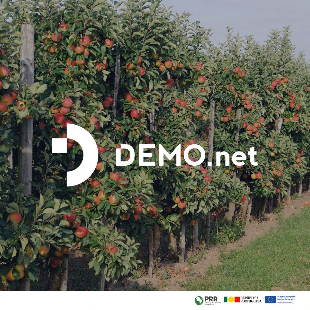 🔊 A #CONSULAI juntou-se a 13 parceiros para o desenvolvimento de um novo projeto - #demonet

Este projeto tem como principal objetivo a investigação de modelos inovadores de redes de conhecimento e demonstração e metodologias de debate sobre temáticas relevantes