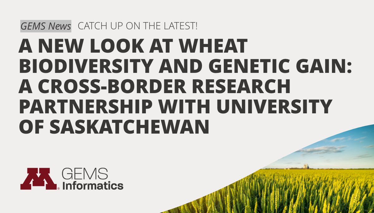 We joined the <a href="/usask/">U of Saskatchewan</a> to delve into a century of #wheat data, investigating the crop's #biodiversity. This case study highlights the impact of modern crop breeding on #sustainable productivity in Canada. Read the insights here: gems.umn.edu/news/new-look-…