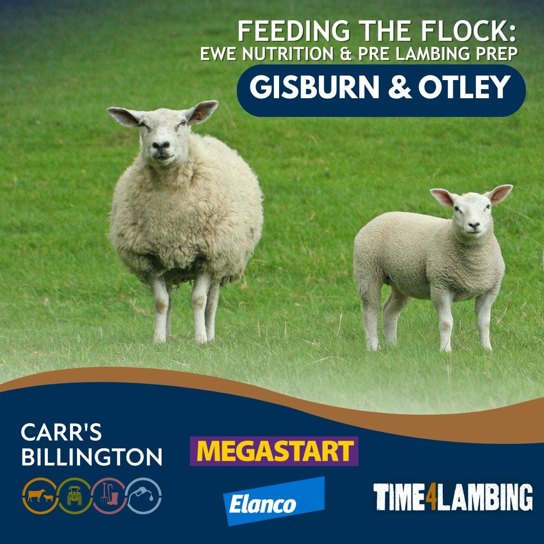 🐏FEEDING THE FLOCK🐏

EWE NUTRITION &amp; PRE LAMBING PREP 

Come along for an evening of informative chat and advice from your Carr’s Billington Representatives and industry experts.

We are holding 2 events:
GISBURN - Tuesday 9th January
OTLEY - Thursday 11th January