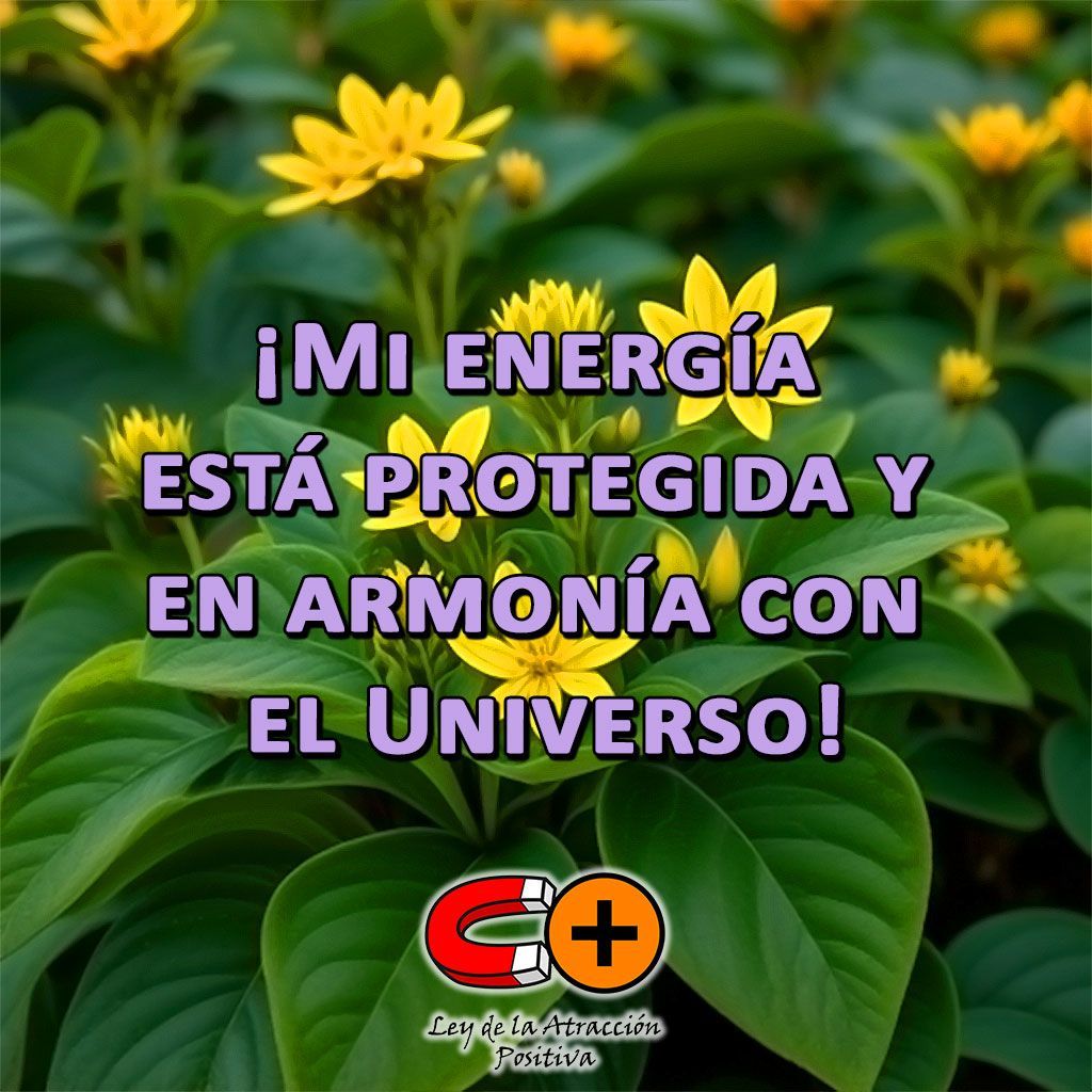 LeyAtraccionPos's tweet image. ¡Descubre el poder de la Ruda! 🌿✨ Protege tu energía con esta planta ancestral contra el mal de ojo. No te pierdas nuestro nuevo artículo: "Ruda: la Planta Protectora del Mal de Ojo". 👁️💫 
🔗 Enlace: buff.ly/3H45yo7

#LeyAtraccionPositiva #Ruda #MalDeOjo