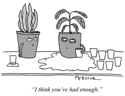 House plants #cartoon oldie from ⁦⁦@spectator⁩