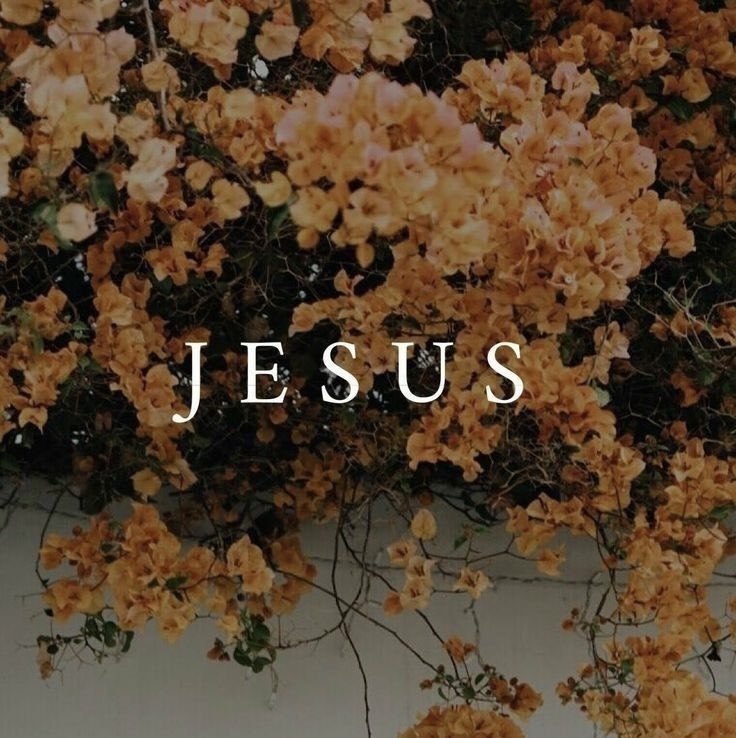 El reino de Dios y la relación con Jesucristo son incalculable y merecen nuestro compromiso total. (Mateo 13:45-46)