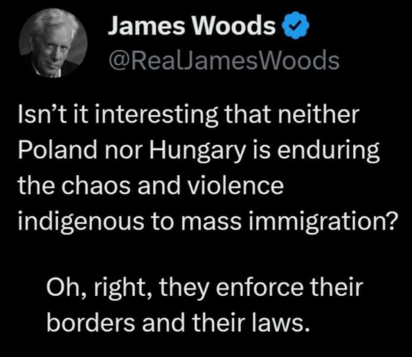 Good Morning X-World. 🇺🇸 James Woods makes so much common sense.