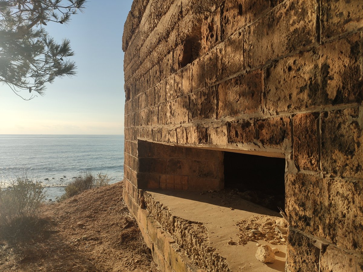 AnnaSaballs's tweet photo. El 2023, vam realitzar 5 rutes⛰️ emocionants per preservar la nostra herència. Vam conèixer la història de tresors com el Balneari de #Cardó, Santa Perpètua de #Gaià o els vestigis de la #GuerrraCivil del Coll de Balaguer. 5 èxits a la butxaca! Gràcies per fer-ho possible!🫶 https://t.co/uRwd5iSphI
