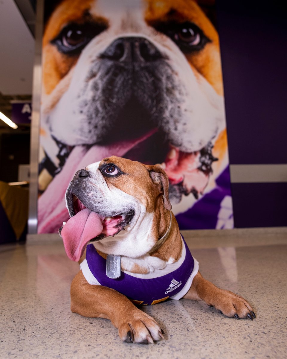 Happy 2024 future Leathernecks! Our resolution is to help you achieve the big, bold dream of attending college. Apply today at wiu.edu/apply.  #wiu #wiuadmissions #college #leathernecks