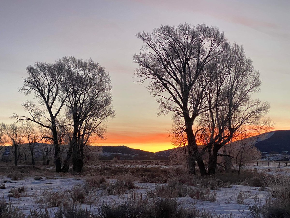 spann's tweet photo. Jackson Hole WY this morning… Photos from Regina Jones https://t.co/P0oSllzmhU