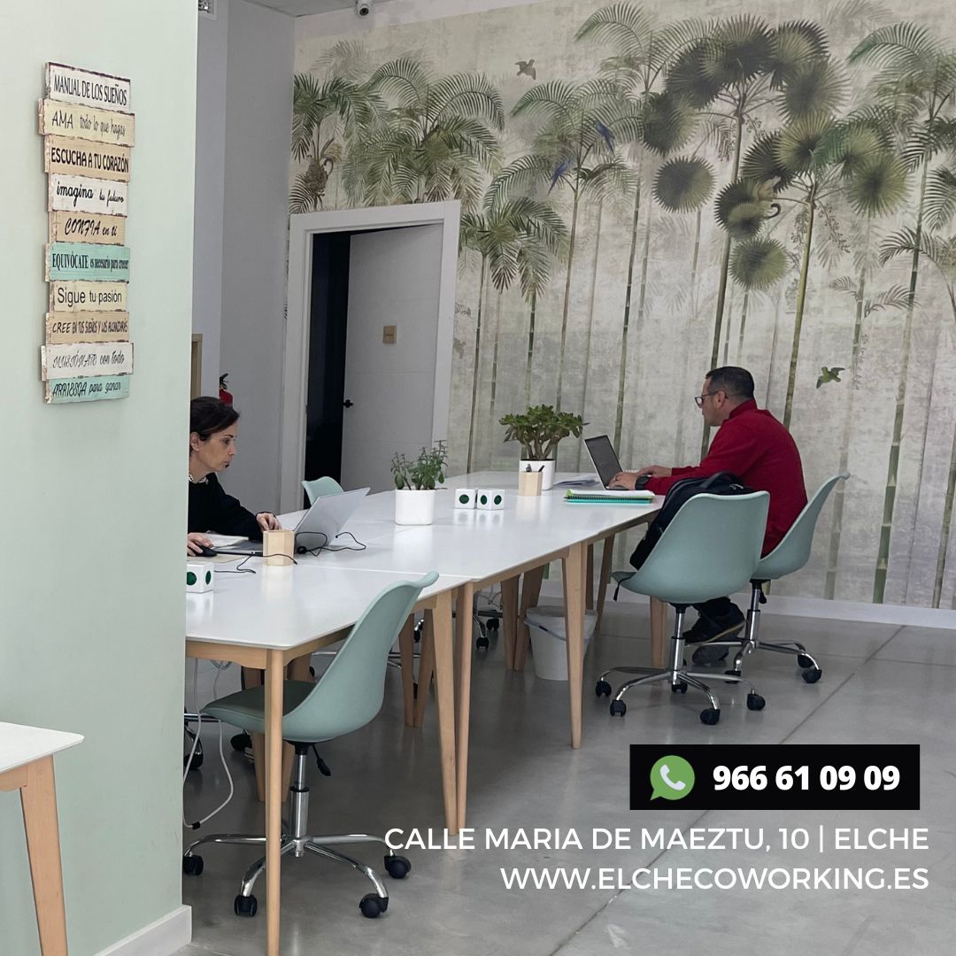 CoworkingElche's tweet photo. ¿Buscas un espacio de trabajo flexible en Elche? 

En Elche Coworking te ofrecemos alquiler flexible de espacios de trabajo para que puedas trabajar a tu ritmo. 

📲 966 61 09 09
https://t.co/3w28SeggJz

#ElcheCoworking #EspacioFlexible https://t.co/jcY9BOxNBf