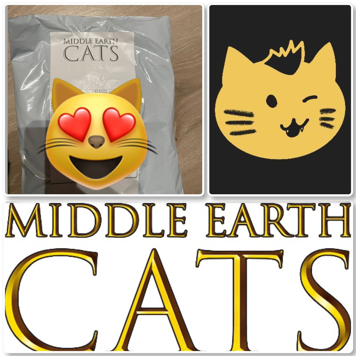 plyiens's tweet photo. 💜✨😻 Oehlala  🪄 a package from Middle Earth Cats was delivered this afternoon 😻✨💜

#MEC #MiddleEarthCats https://t.co/O0WtVXcYse
