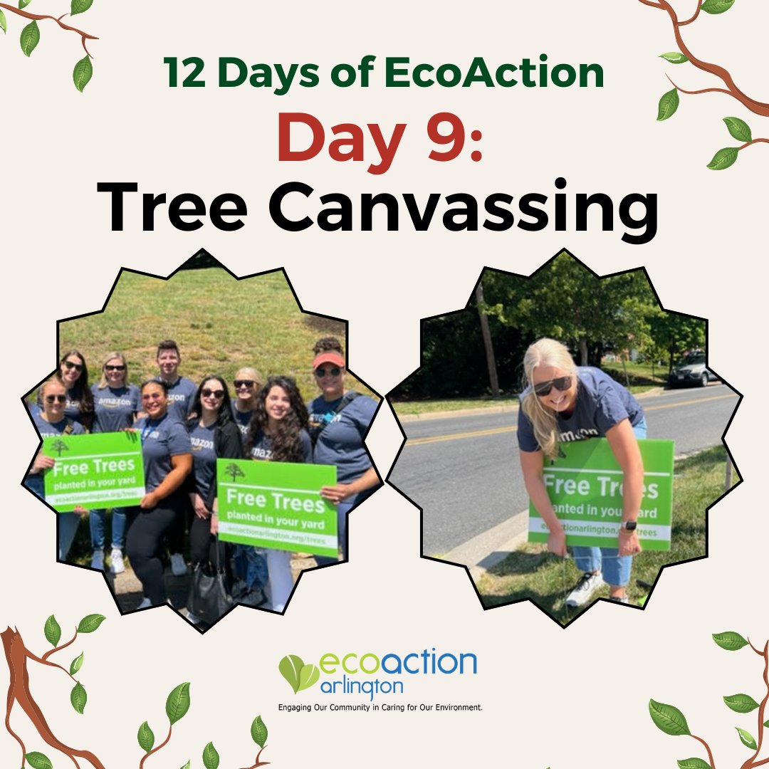Did you know that twice a year EcoAction Arlington gives away free native trees to put in your yard? Tree canvassing is a key way we work together to get the word out about this incredible service. 

Learn more about the program here: 
ecoactionarlington.org/community-prog…