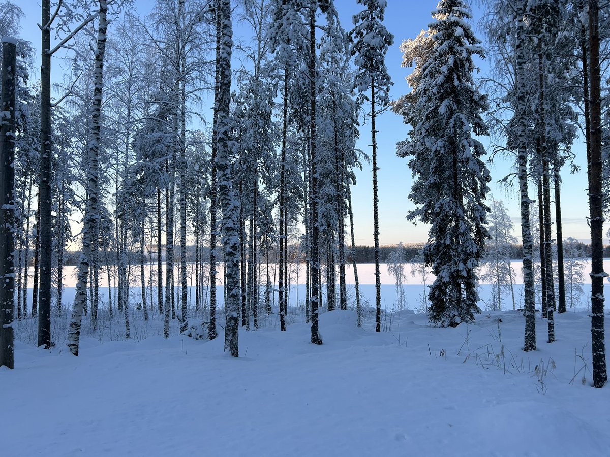 Winter wonderland 🥶