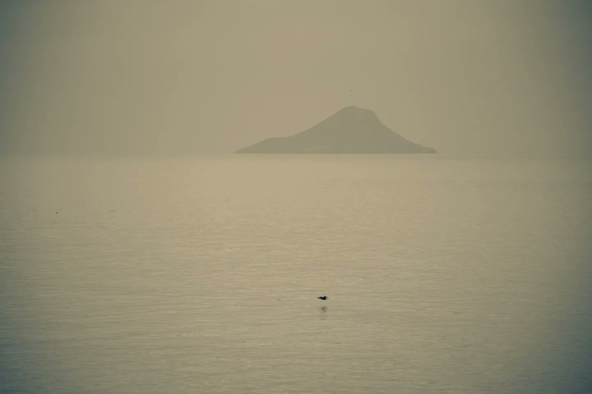 cjegio's tweet photo. Sobre islas ya sin piratas.

#fotografia #photography #sosmarmenor #MarMenor #RegiondeMurcia https://t.co/RLXQHhwbqj