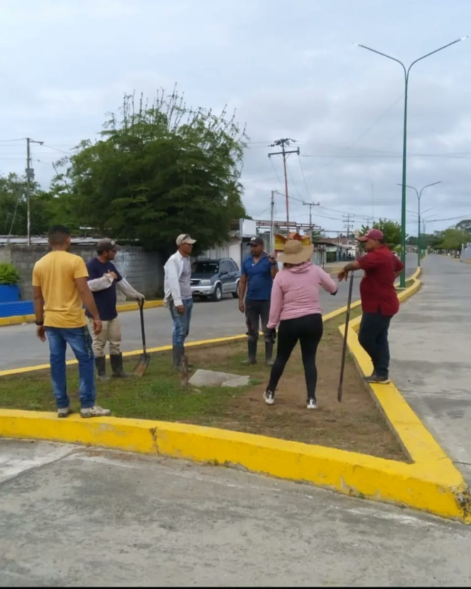 Alcaldía de Catatumbo ⚡ tweet media