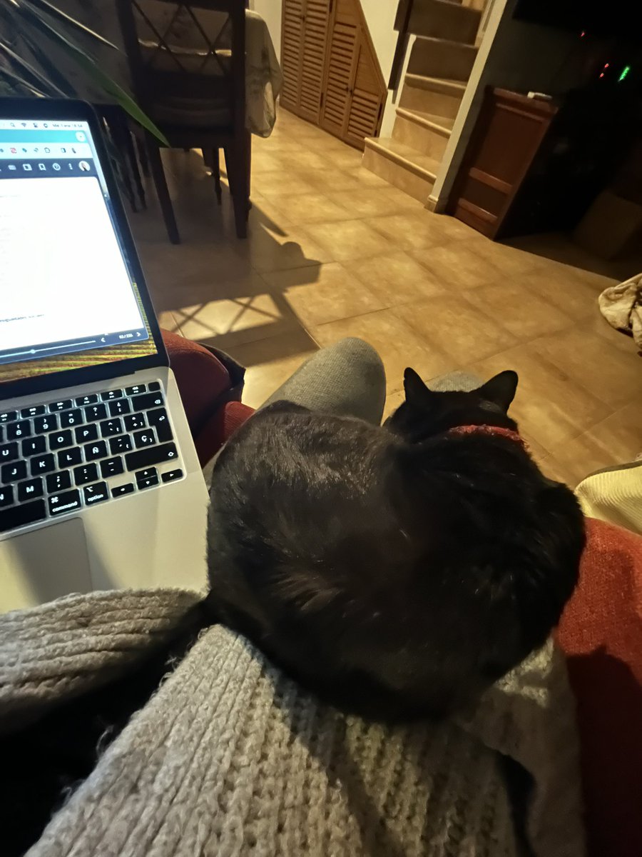 Estudiando como puedo por no mover al Drakulin 🖤