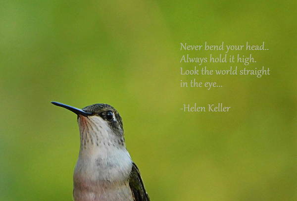 Celebrate #WorldBrailleDay with this inspiring #ArtForSale featuring an #inspirationalQuote by #HelenKeller & the beauty of #nature fineartamerica.com/featured/keep-…  #BrailleDay #hummingbird