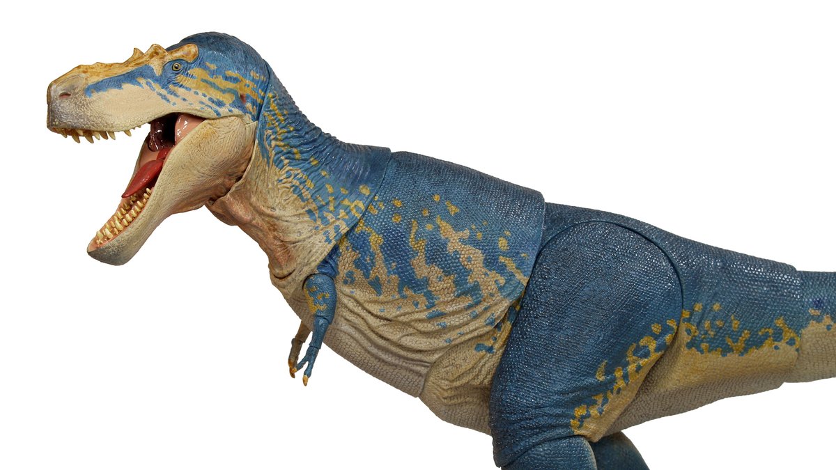 Beast_SculptKit's tweet photo. Here's a look at the final paint sample from the BotM Tyrannosaur Series wave 3- the Gorgosaurus libratus! 
Wave 3 is enroute to our US warehouse now and we hope to begin order fulfillment by the end of this month- preorders will remain up until then! #beastsofthemesozoic https://t.co/CMunQr98WG
