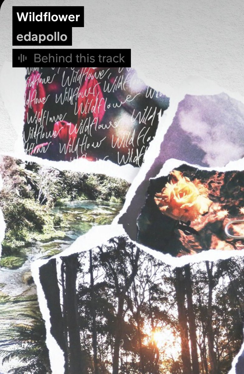 matrixauthor_eg's tweet photo. Wildflower🌺 #edapollo #SoundCloud
https://t.co/UBAclLDPEy https://t.co/XwUk9yBLSb