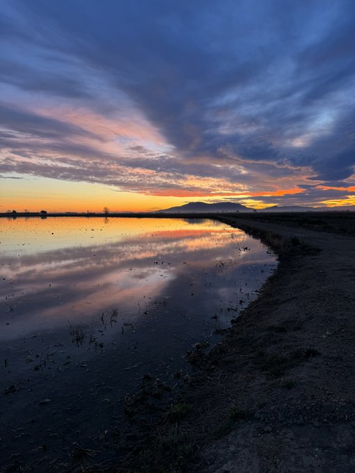 I definitely need to be a fairy living in nature. I was born for this 🌸💘✨🌿 https://t.co/7WJxI78miW<a href="/tag/mvsales"class="tags"><span>#mvsales</span></a>