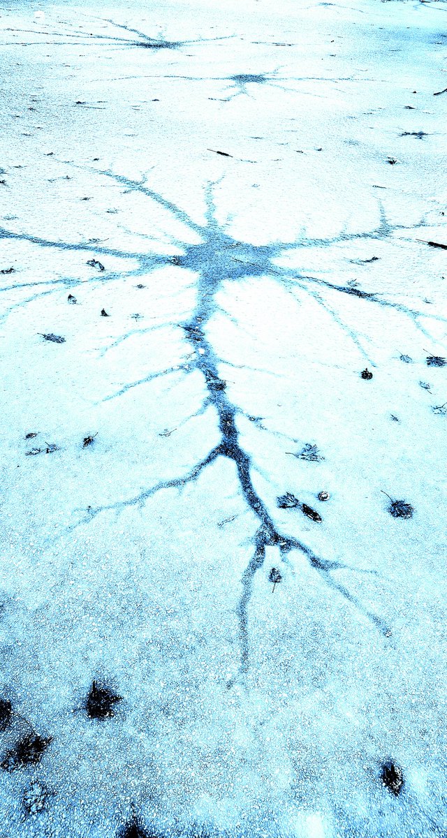 Anthony Bosson tweet media